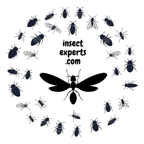 insectexperts.com logo