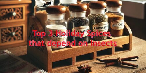 Top 3 holiday spices that depend on insects